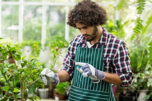 A young man with curly dark hair is working in a lush greenhouse garden, surrounded by various green plants and shrubs. He is wearing a checkered shirt, a green striped apron, and gardening gloves, and is carefully examining a small branch or plant stem with his fingers, indicating detailed plant care or pruning. The background features a glass structure with sunlight filtering through, illuminating the vibrant greenery and creating a bright, natural environment suited for gardening activities. This scene exemplifies professional plant maintenance and cultivation in a controlled, lush outdoor setting, reflecting the gardening services offered by Lawn Mowing Aldgate in the East London area, near postcode E1, supporting local horticultural and landscaping needs.