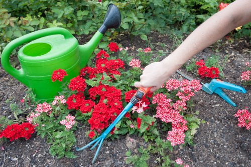 Team mowing a small urban lawn in Aldgate near terraced houses