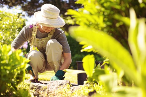 Seasonal lawn care activities in an Aldgate backyard